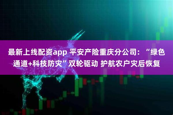 最新上线配资app 平安产险重庆分公司：“绿色通道+科技防灾”双轮驱动 护航农户灾后恢复